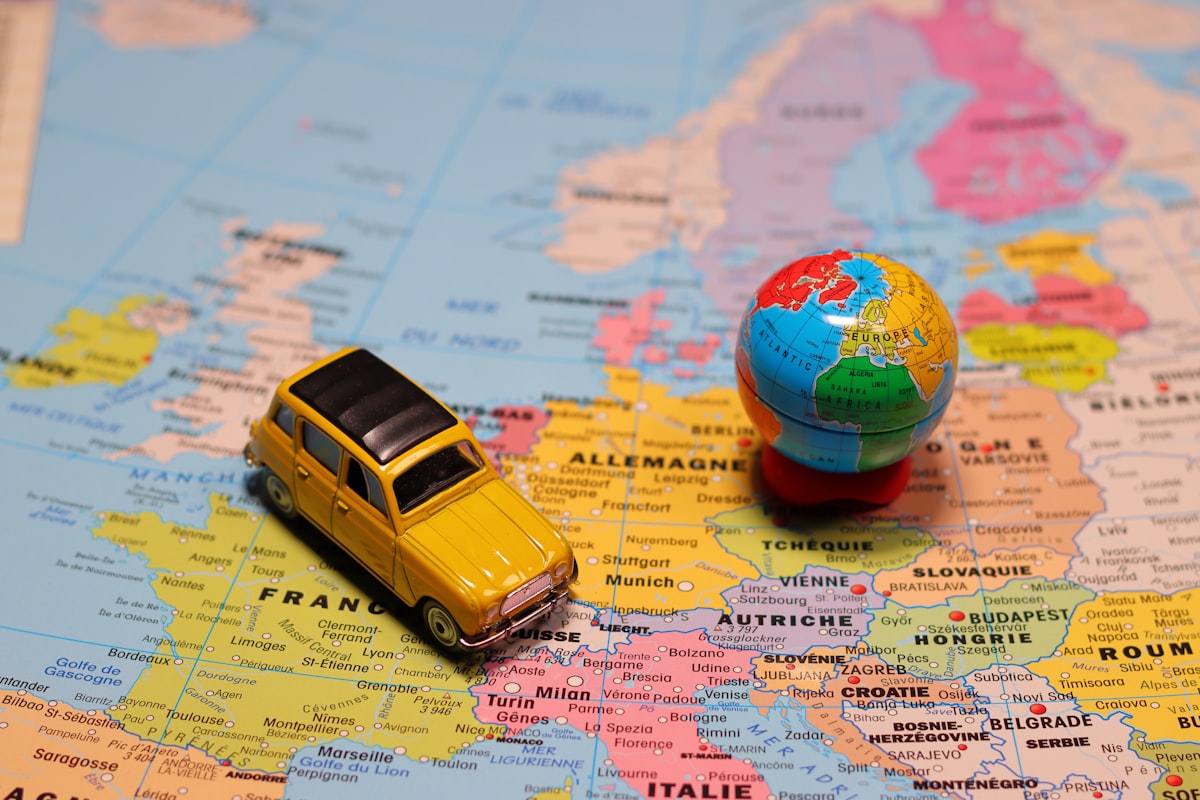 Expatriate Managers: Effects on Firm Performance